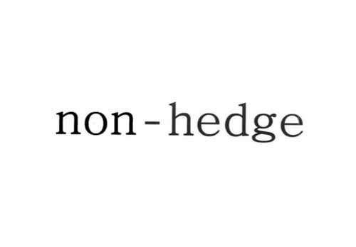 non-hedge ノン ヘッジ