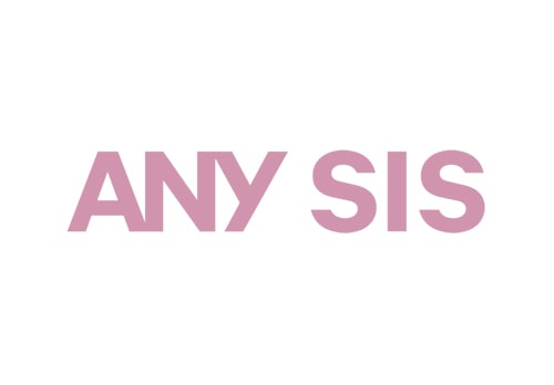 ANY SIS エニィスィス
