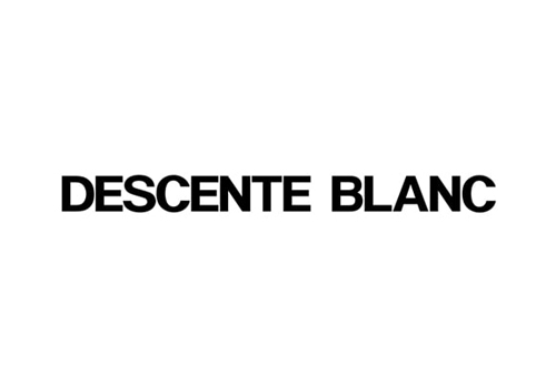 DESCENTE BLANC デサント ブラン