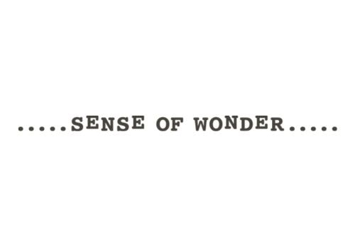 SENSE OF WONDER センス オブ ワンダー