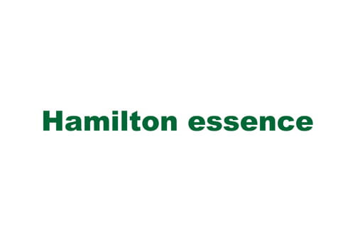 Hamilton essence ハミルトン エッセンス