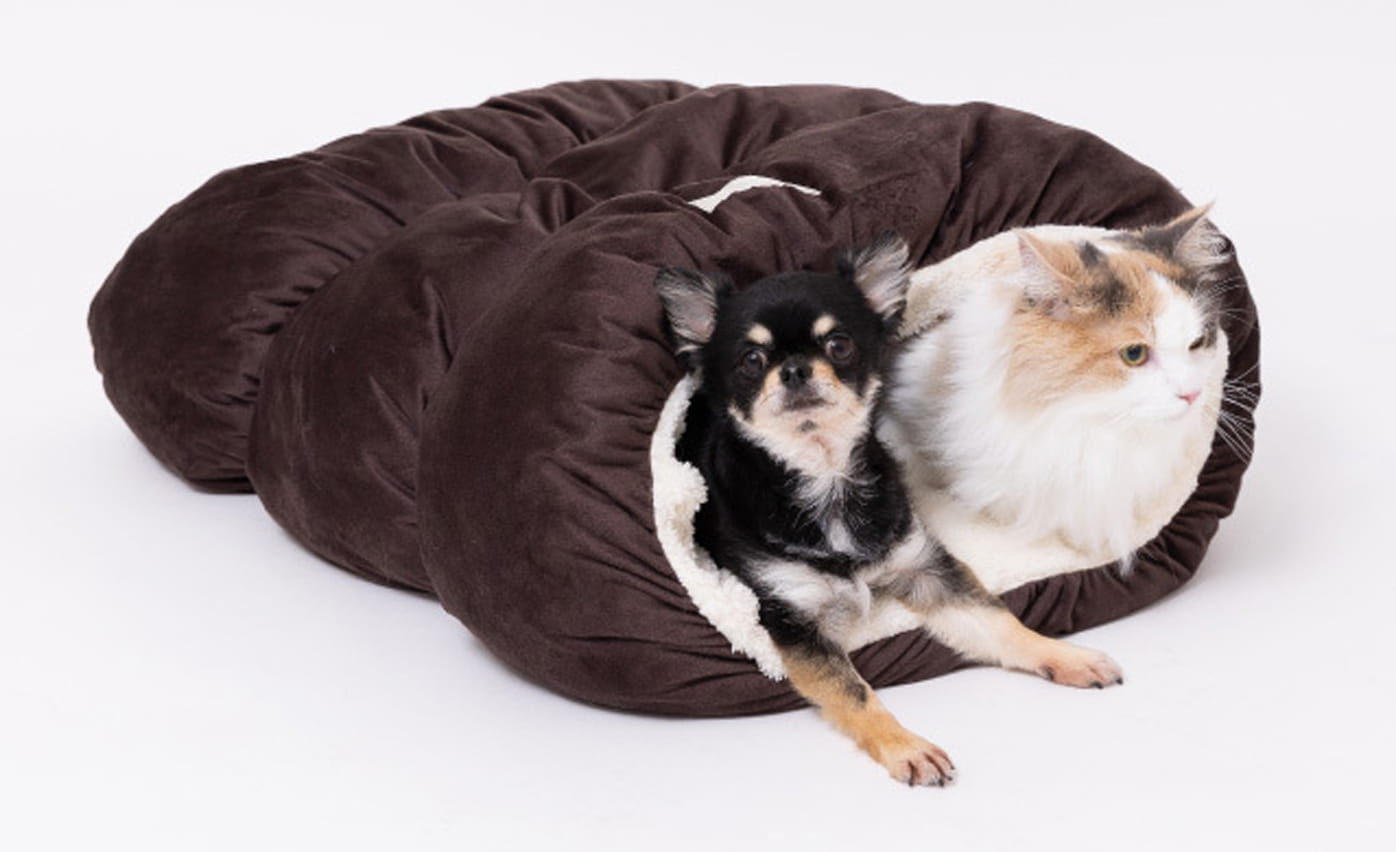 神戸三田プレミアム・アウトレット(兵庫県神戸市北区/アパレル・ファッション)_2